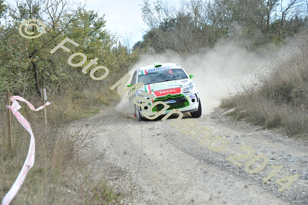 DSC_7319.JPG